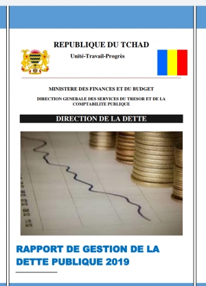 RAPPORT DE GESTION DE LA DETTE POUR L&#039;EXERCICE 2019