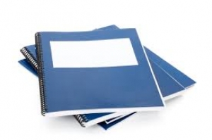 RAPPORT DE LA COMMISSION FINANCES DE L'ASSEMBLEE NATIONALE