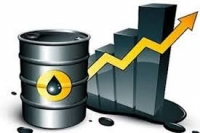 Note sur le secteur p&eacute;trolier au quatri&egrave;me trimestre 2019 N&deg;11