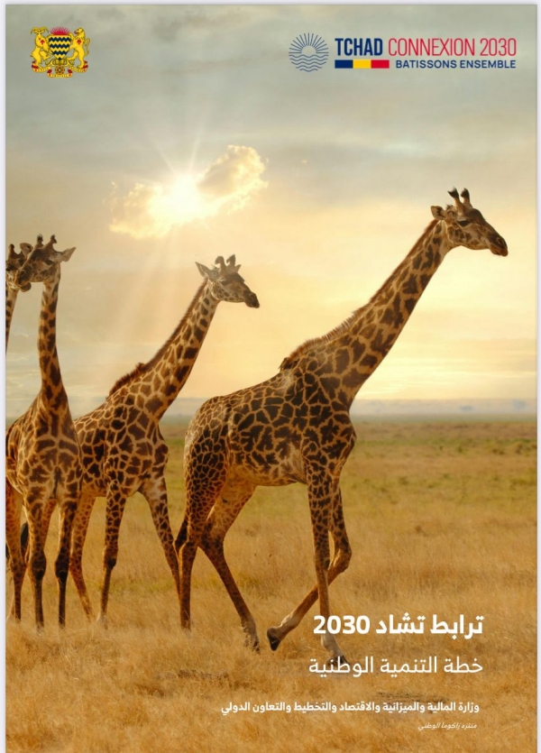 خطة التنمية الوطنية    ترابط تشاد 2030